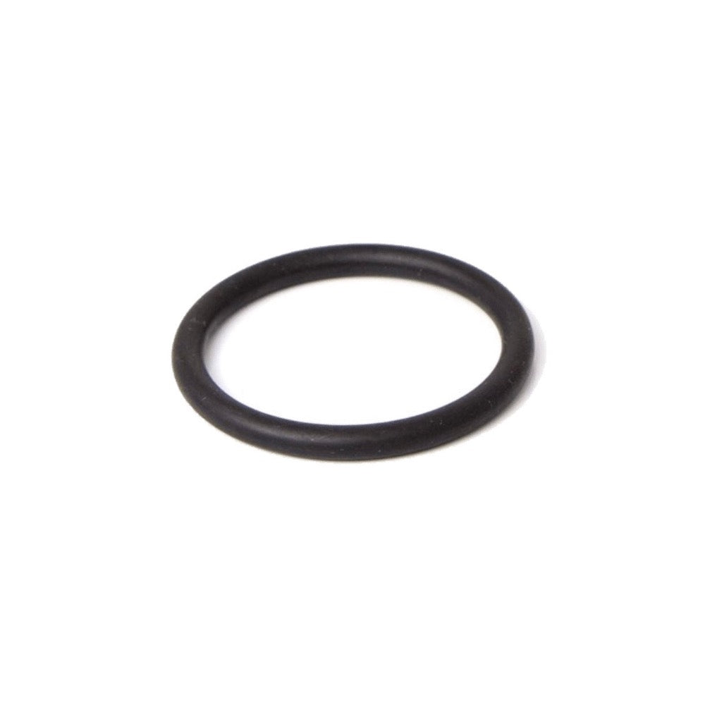 La Pavoni Lever Group Gasket