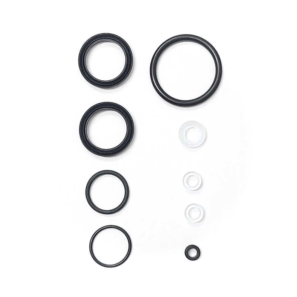 Pavoni piston gasket kit